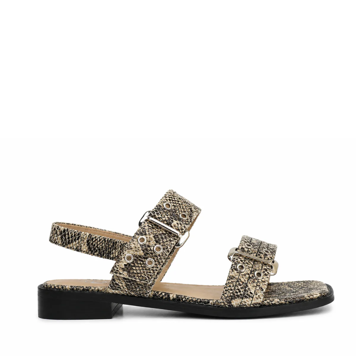 SUMMER - Image 2